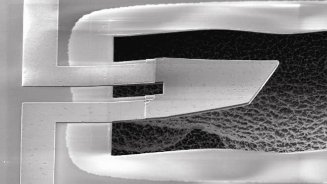 Quantum Paddle